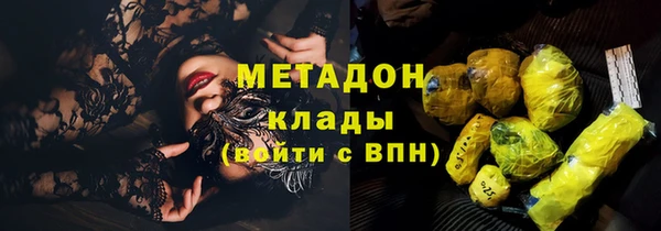 стаф Козловка