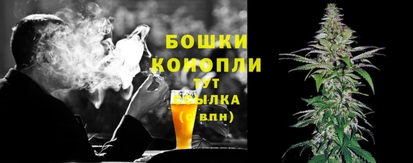 стаф Козловка