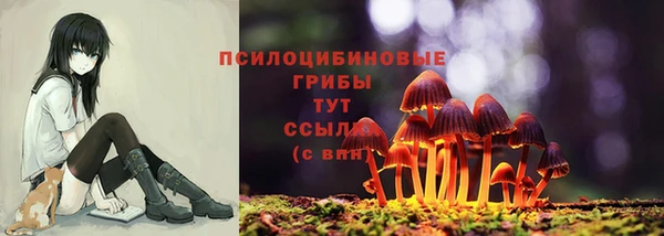 ГАЛЛЮЦИНОГЕННЫЕ ГРИБЫ Козельск
