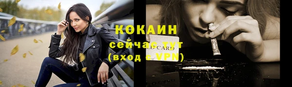 стаф Козловка