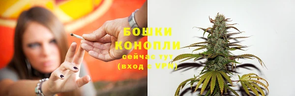 ГАЛЛЮЦИНОГЕННЫЕ ГРИБЫ Козельск
