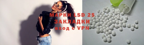 ГАЛЛЮЦИНОГЕННЫЕ ГРИБЫ Козельск