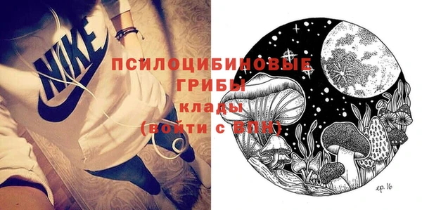 ГАЛЛЮЦИНОГЕННЫЕ ГРИБЫ Козельск