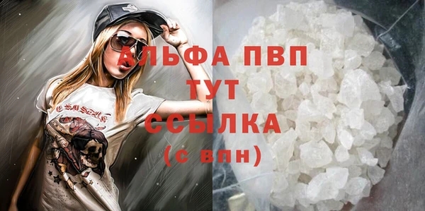 стаф Козловка