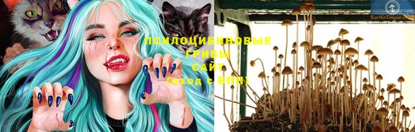 mdpv Кодинск