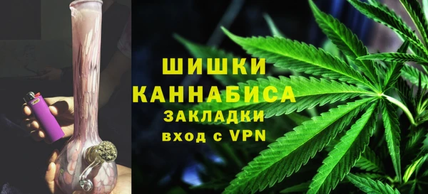 ГАЛЛЮЦИНОГЕННЫЕ ГРИБЫ Козельск