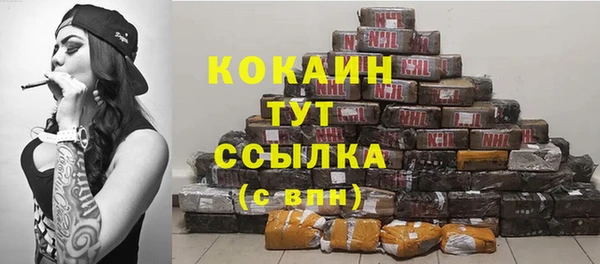 mdpv Кодинск