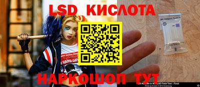 PSILOCYBIN Кингисепп