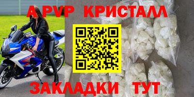 PSILOCYBIN Кингисепп