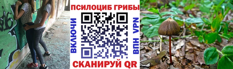 Купить закладки  Кудымкар  Псилоцибиновые грибы MAGIC MUSHROOMS 