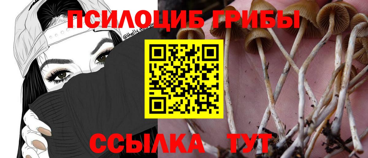 Галлюциногенные грибы Magic Shrooms  Псилоцибиновые грибы мухоморы  Вход с VPN  Кудымкар 