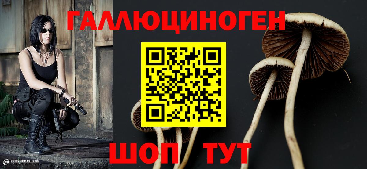 Галлюциногенные грибы Magic Shrooms Кудымкар