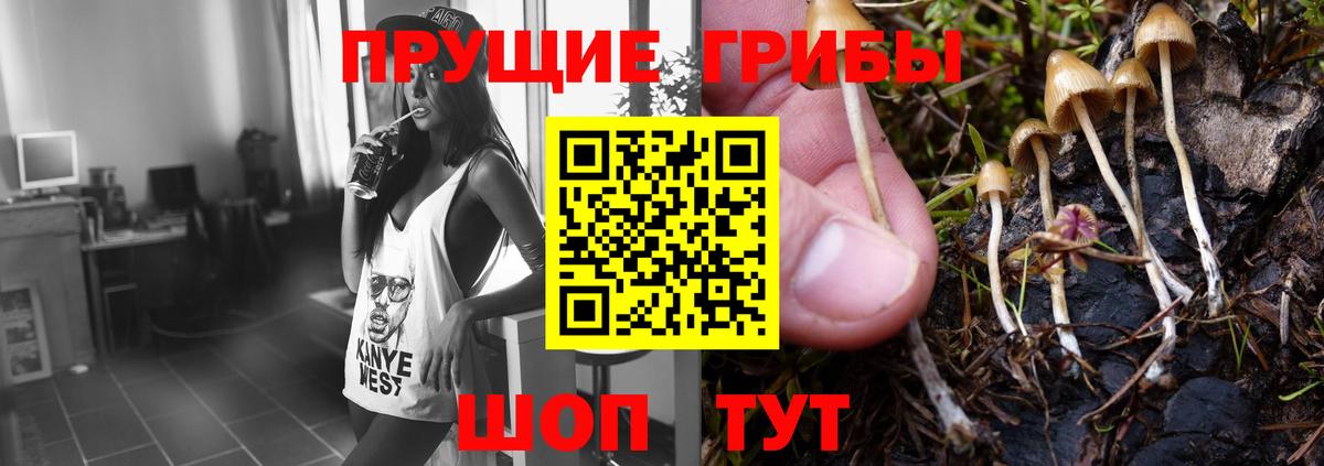 Галлюциногенные грибы мухоморы  Кудымкар 